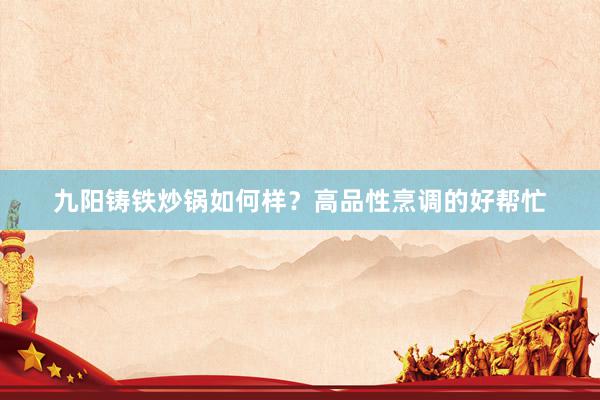 九阳铸铁炒锅如何样？高品性烹调的好帮忙