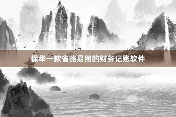 保举一款省略易用的财务记账软件